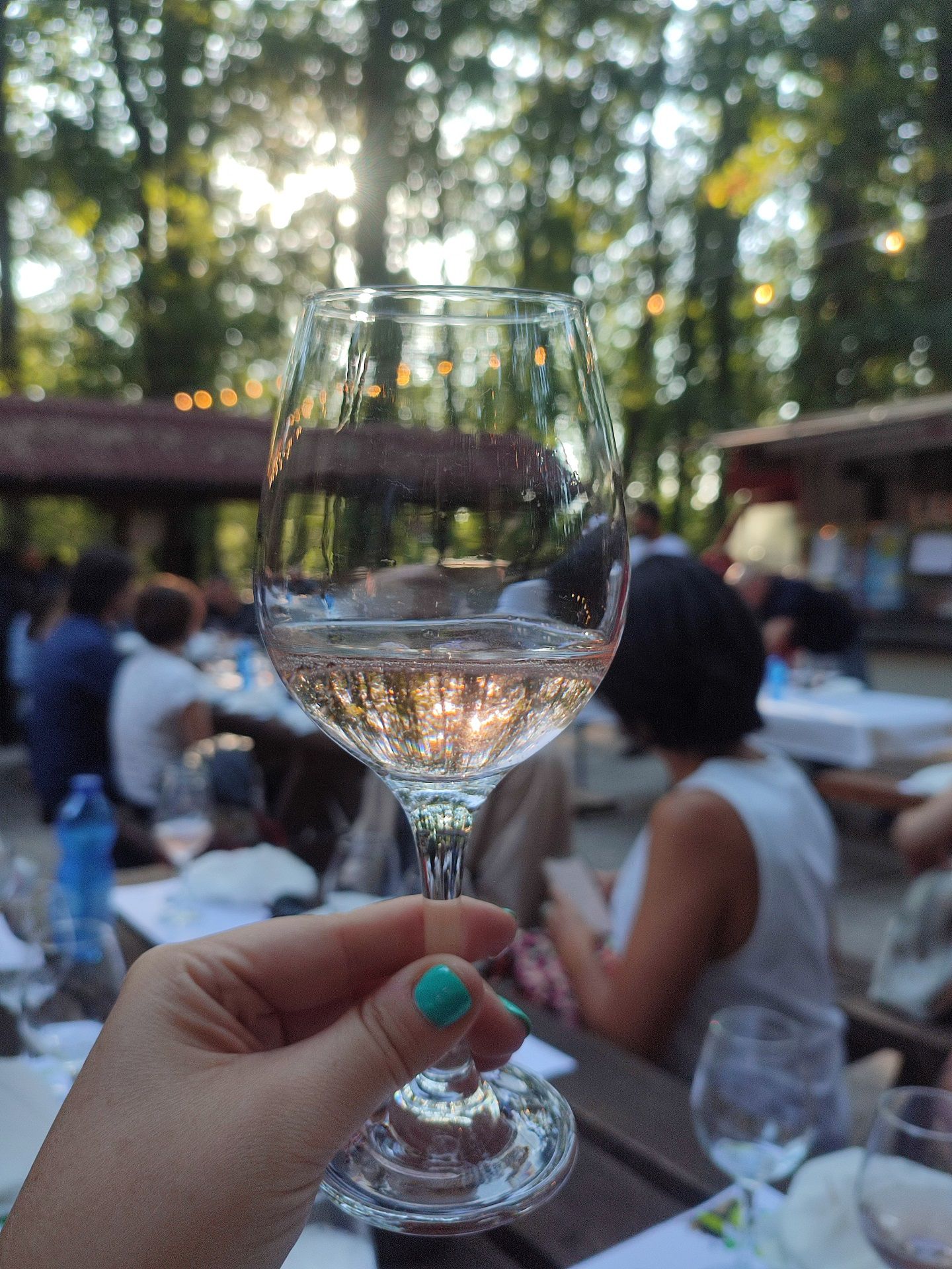 Calici nel Bosco – 3° edizione  Serata di degustazione guidata di vini  con abbinamenti 