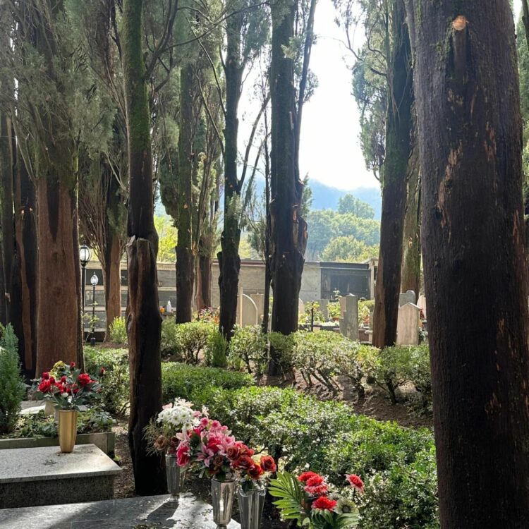 San Massimo, lavori straordinari al giardino cimiteriale